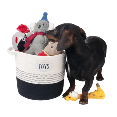 Dog next to a toy basket with stuffed animals and plush toys. Basket with the label 'Toys'.