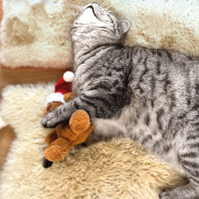 Aumüller jouet Nounours avec bonnet de Père Noël