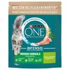 Purina ONE Indoor Formula met Kalkoen 750 g