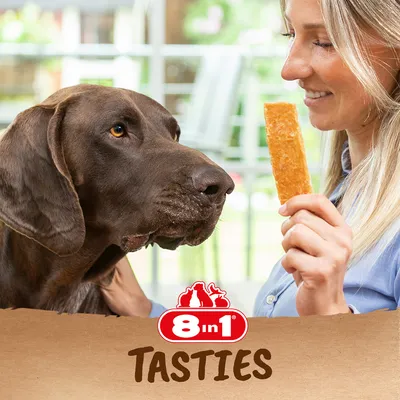 8in1 Tasties. Câine privește gustarea din mâna unei persoane.