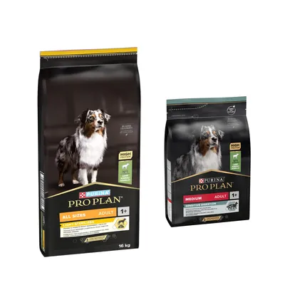 Croquettes PURINA PRO PLAN pour chien : 16 kg + 3 kg offertes ! - All Sizes Adult Light Sterilised Agneau (16 kg) + Medium Adult Sensitive Digestion agneau, riz (3 kg) Croquettes PURINA PRO PLAN pour chien : 16 kg + 3 kg offertes ! - All Sizes Adult Light Sterilised Agneau (16 kg) + Medium Adult Sensitive Digestion agneau, riz (3 kg)