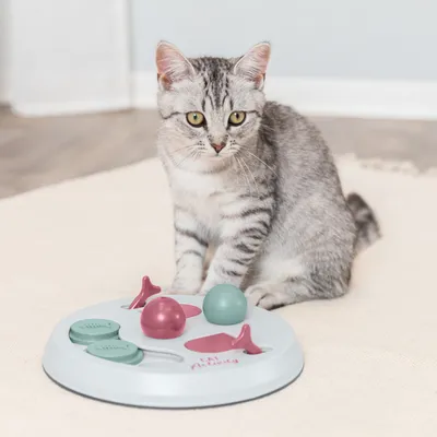 Trixie Cat Activity Flip Board Trixie Cat Activity Flip Board
