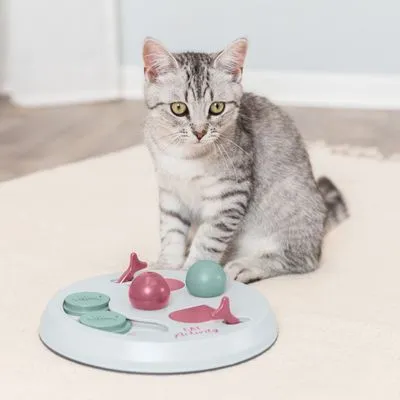 Grijze kat zit naast een interactief kattenspeelbord met roze en groene elementen op een licht tapijt. Speelbord bevat draaibare schijven, balletjes en visvormige hendels.