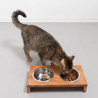 Katze frisst aus einem erhöhten Holz-Futternapf mit zwei Edelstahlschalen, eine für Wasser und eine für Futter.