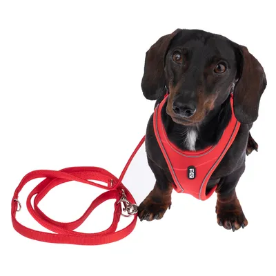 Sort hund med rødt sele og matchende line. Sele med synligt Trixie-logo.