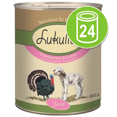 Lukullus Putenherzen & Lamm Junior natvoer voor honden, 800 g blik. Tekst: mit Hirse, Apfel und Traubenkernöl. Afbeelding toont kalkoen en lam. Groen pictogram met 24 blikken.