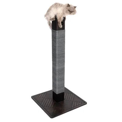 Arbre à chat avec poteau carré recouvert de corde grise et base en bois foncé, un chat à poils longs allongé sur le dessus du poteau.