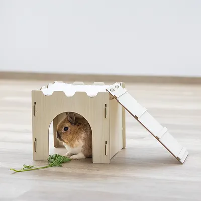 Maison en bois clair pour rongeur avec rampe latérale, lapin brun à l’intérieur, branche de persil devant l’entrée. Sol en bois clair, fond neutre.