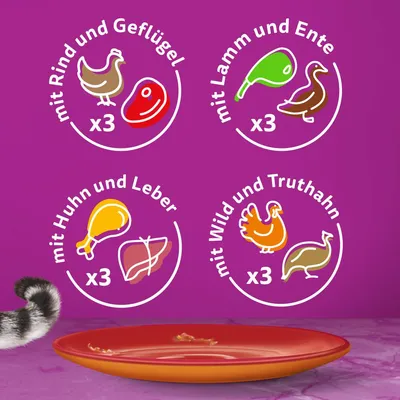 Fyra sorter: med nöt och fjäderfä x3, med lamm och anka x3, med kyckling och lever x3, med vilt och kalkon x3. Illustrationer av ingredienser på lila bakgrund.