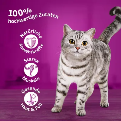 100% hochwertige Zutaten. Natürliche Abwehrkräfte, starke Muskeln, gesunde Haut und Fell. Katze vor violettem Hintergrund.