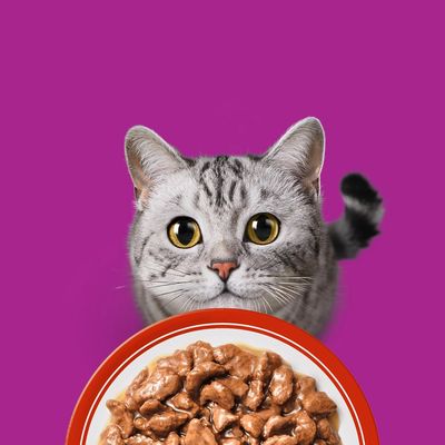 Πολυσυσκευασία Whiskas 1+ Adult Φακελάκια 12 x 85 g