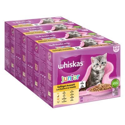 Whiskas Junior siipikarjavalikoima hyytelössä, kissoille 2–12 kk. Lajit: kana, ankka, siipikarja, kalkkuna. Pakkaus 12 annospussia. 100 % tasapainoinen ravinto.