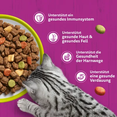 Whiskas Adult 1+ Katze Trockenfutter mit Lamm - Sparpaket: 2 x 800 g