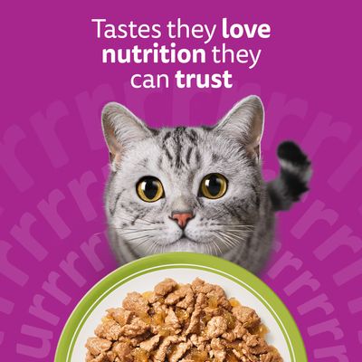 Whiskas 1+ Pouches Mega Pack 96 x 85g - Mixed Menu in Jelly