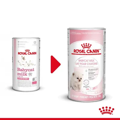 Две опаковки Royal Canin Babycat Milk за котенца, показващи промяна в дизайна. Вляво стара опаковка, вдясно нова с изображение на бяло коте и текст на английски и френски. Две опаковки Royal Canin Babycat Milk за котенца, показващи промяна в дизайна. Вляво стара опаковка, вдясно нова с изображение на бяло коте и текст на английски и френски.