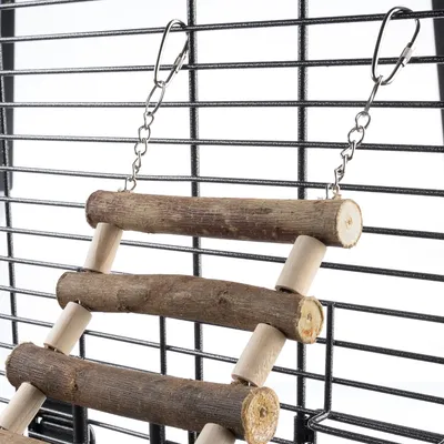 Échelle suspendue en bois fixée à une cage par deux chaînes métalliques et mousquetons, barreaux ronds en bois naturel visibles.