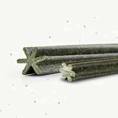Green, star-shaped chew sticks made from compressed material, close-up. Product for dental care or activity visible.