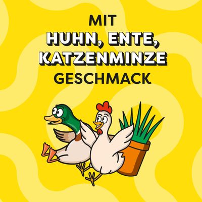 Dreamies Shakeups Multivitamins Snacks