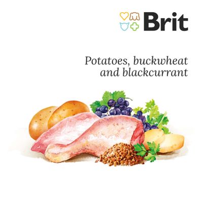 Brit Fresh Chicken with Potato száraztáp kölyök és fiatal kutyáknak. Feliratok: Healthy Growth, Superpremium formula, friss csirke burgonyával, hajdina, feketeribizli, petrezselyem.
