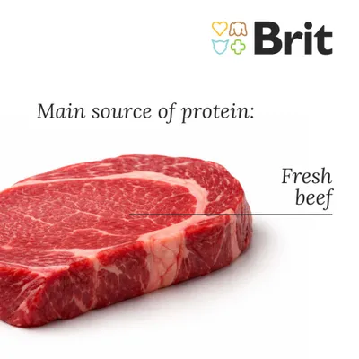 Brit Fresh Puppy Large, wołowina z dynią - 12 kg