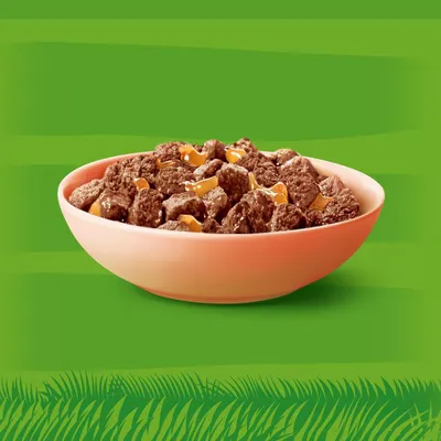Castron cu hrană umedă pentru animale, formată din bucăți de carne maro și ingrediente galbene pe fundal verde.