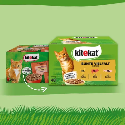 Kitekat Bunte Vielfalt in Sauce, 48x100g. Prikaz kutije s mačkom, natpisima: Natural Vitality, 24x piletina, 12x govedina, 12x losos. Tekst na njemačkom jeziku.
