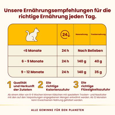 Almo Nature HFC Complete Kitten 6 x 70 g - Lachs mit Thunfisch