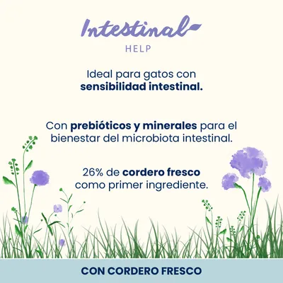Almo Nature Functional Intestinal Help cordero - 2 x 2 kg - Pack Ahorro