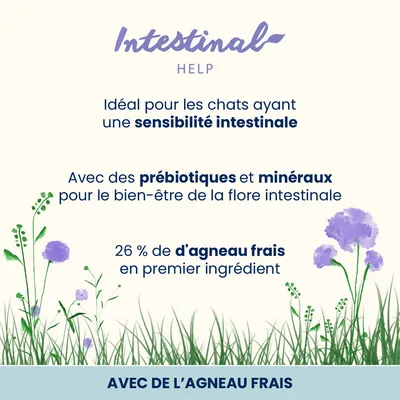 Almo Nature Intestinal Help agneau pour chat  - 2 x 2 kg