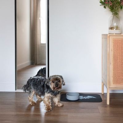Un piccolo cane accanto a una ciotola grigia su un tappetino nero con motivo. Sullo sfondo uno specchio e una cassettiera con vaso.