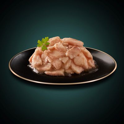 Sheba Filets 16 x 60 g