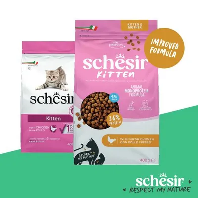 Schesir Kitten Animal Monoprotein Formula, 36 % protein, med färsk kyckling, förbättrad recept, 400 g. För kattungar och mamma. Italiensk flagga synlig.