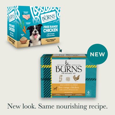 Burns Free Range Chicken with Carrots & Brown Rice - dog wet food - 6 x 395g