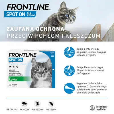 FRONTLINE Spot On dla kotów. Leczenie i zapobieganie inwazjom pcheł, kleszczy i wszołów. Zabija pchły w 24 h do 5 tygodni, kleszcze w 48 h do 3 tygodni. 3 pipetki po 0,5 ml.