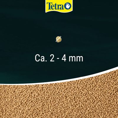 Tetra granulki pokarmowe, średnica ok. 2–4 mm, zbliżenie na granulki oraz informacja o rozmiarze na zdjęciu.