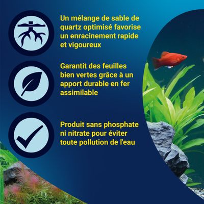 Mélange de sable de quartz optimisé pour un enracinement rapide, feuilles vertes grâce au fer, sans phosphate ni nitrate pour éviter la pollution de l'eau.