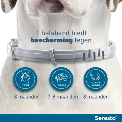 Seresto vlooien- en tekenband voor Grote honden (> 8 kg) (NL) > 8 kg (Halsband 70 cm) - Seresto vlooienhalsband voor honden - NL