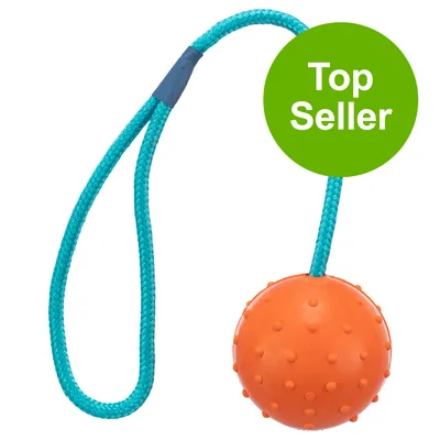 Speelgoed met oranje bal en blauw touw, gemarkeerd als 'Top Seller'.