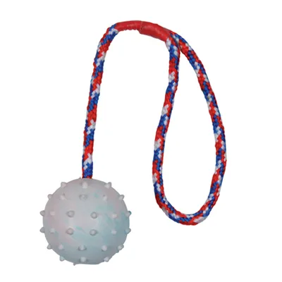 Speelbal met noppen en gevlochten touw in rood, wit en blauw. Bal van kunststof, touw van textiel. Geen merknaam zichtbaar.