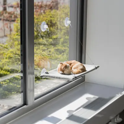 Leżanka na okno z przyssawkami, zamocowana na szybie. Powierzchnia leżanki z szarej tkaniny, odpowiednia dla zwierząt domowych. Kot śpi na leżance.