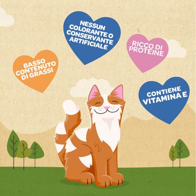 Meowee! Strisce di filetto di tonno. Pezzi piccoli per bocche piccole, realizzati con vero tonno. Senza coloranti o conservanti artificiali. A basso contenuto di grassi.