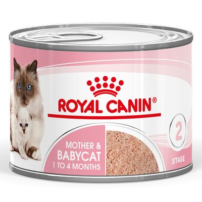 ROYAL CANIN Mother & Babycat 1 to 4 months, Stage 2. Can with cat motif and food illustration.