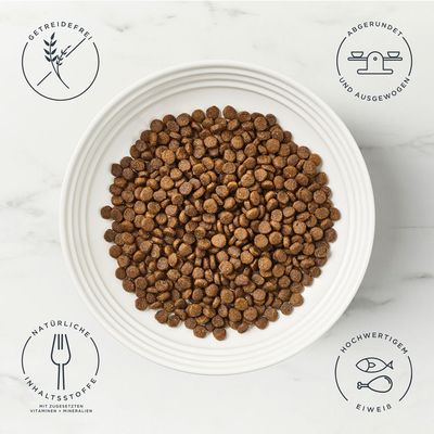 Encore Adult Complete Katzenfutter, 800g, Huhn mit Lachs, getreidefrei, 80% Huhn und Lachs, 20% natürliche Extrakte, 100% natürliche Zutaten.