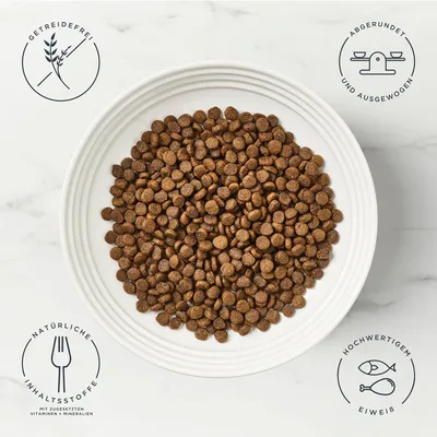 Encore Cat Huhn mit Lachs - Sparpaket: 2 x 800 g