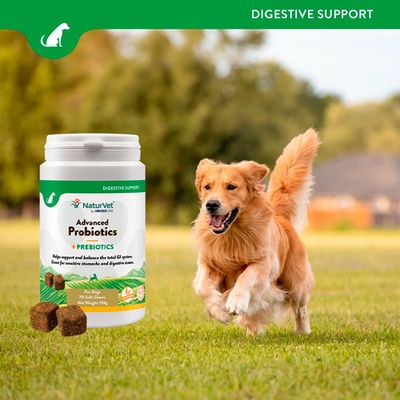 NaturVet Advanced Probiotics + Prebiotics for dogs. Supports digestion and GI system balance. Pack size: 70 soft chews, net weight: 199g.