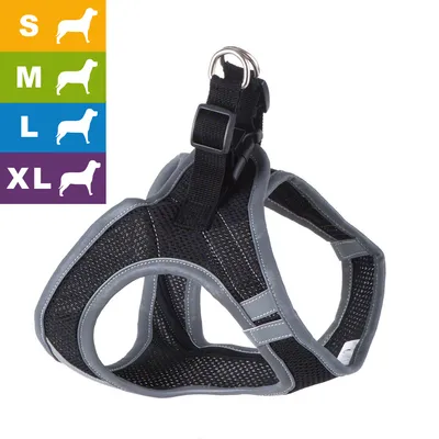 Harnais pour chien en tissu noir avec bordures grises, boucle de fermeture et anneau métallique. Tailles visibles : S, M, L, XL illustrées par des silhouettes de chiens.