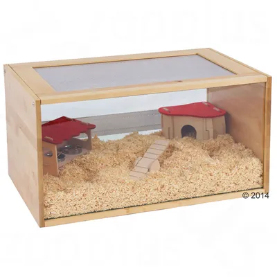 Holz-Nagerkäfig mit Plexiglasfront, ausgestattet mit Häuschen, Futterstation und Holzrampe auf Einstreu.
