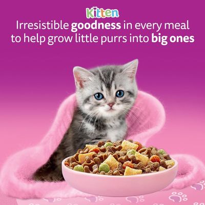Kitten. Irresistible goodness in every meal to help little purrs grow into big ones. Shown: Bowl with dry food, and a small grey-and-white kitten on a pink background.
