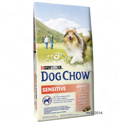 Упаковка корма для собак Purina Dog Chow Sensitive Adult с лососем, 14 кг. Видны надписи: формула для кожи, шерсти и пищеварения. Для взрослых собак старше 1 года.