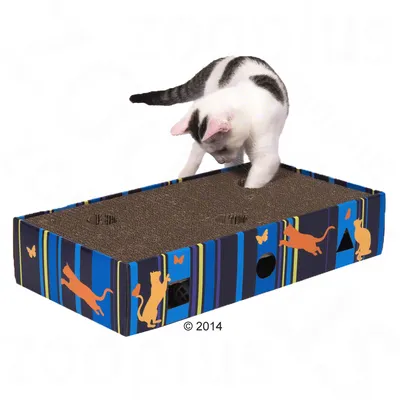 Chat blanc et gris jouant avec une boîte en carton décorée de silhouettes de chats colorés, surface supérieure en carton avec trous ronds visibles. Chat blanc et gris jouant avec une boîte en carton décorée de silhouettes de chats colorés, surface supérieure en carton avec trous ronds visibles.